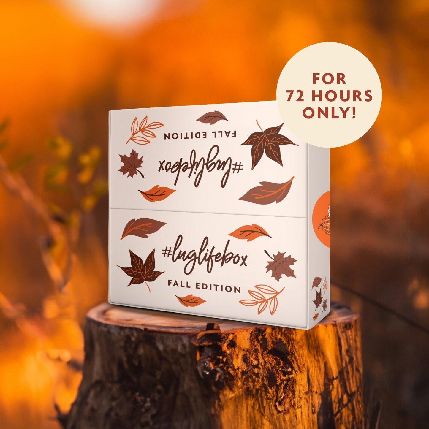 The #LugLifeBox - Fall Edition
