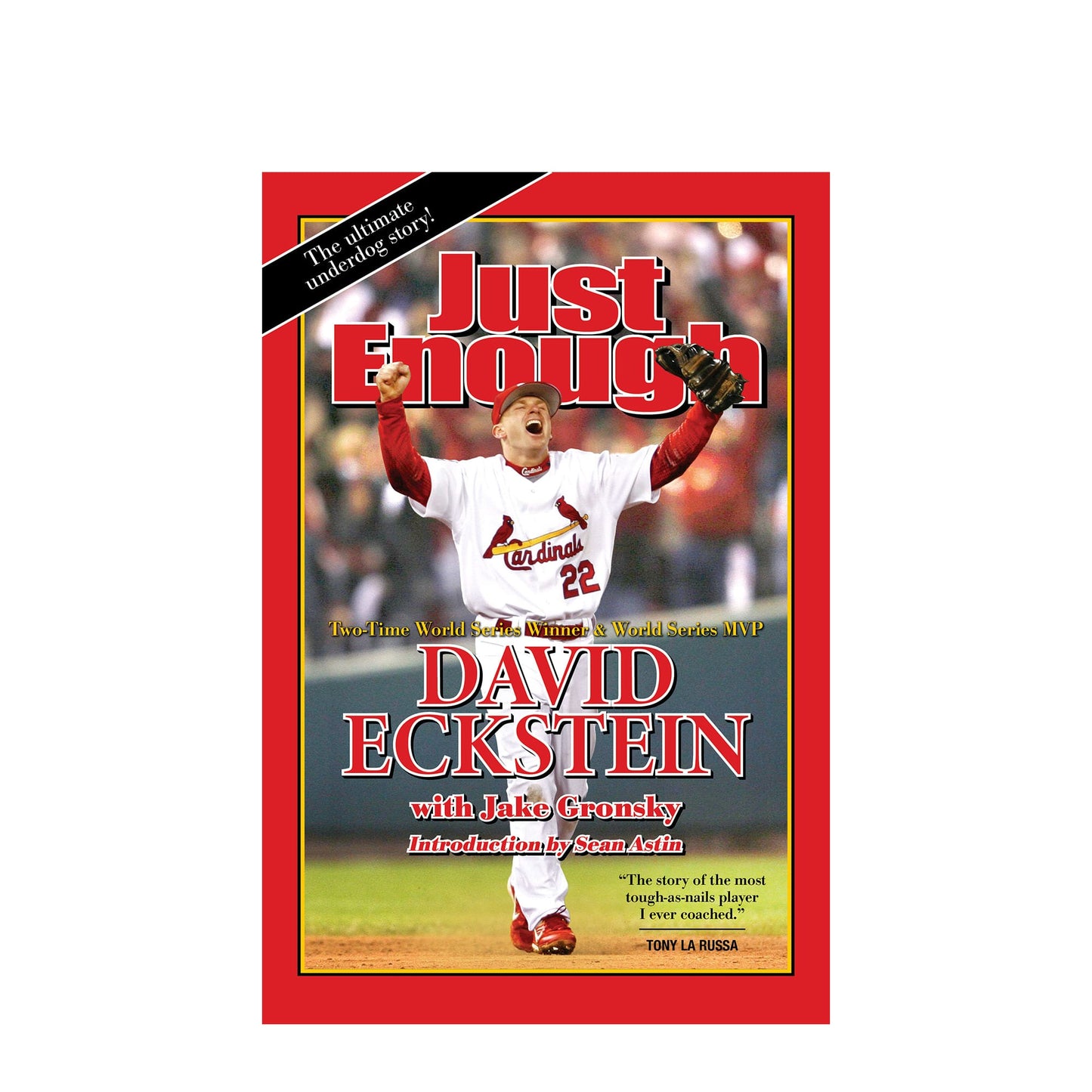 Just Enough By David Eckstein Foreword by Sean Astin with Jake Gronsky