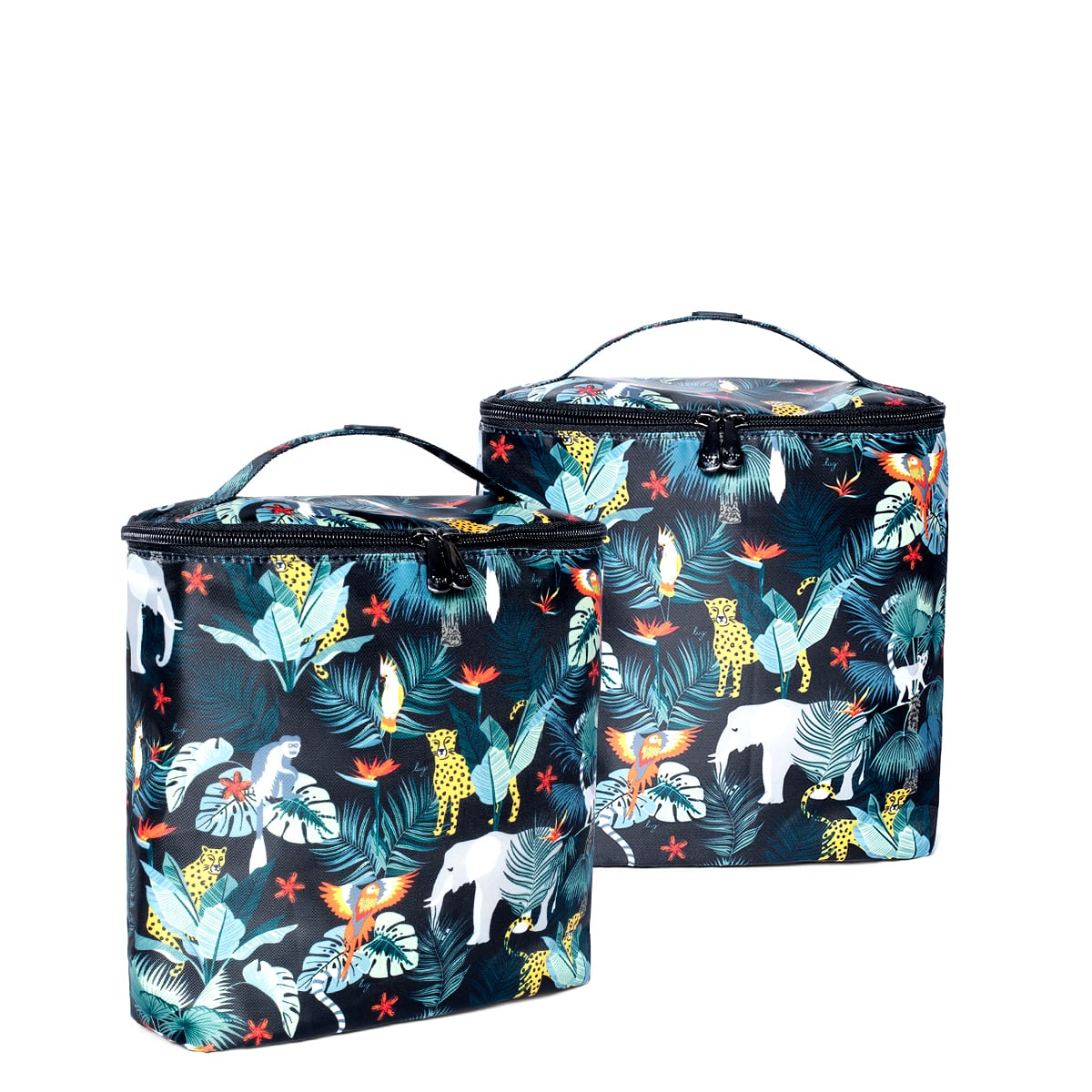 Dolly 2pc Bundle