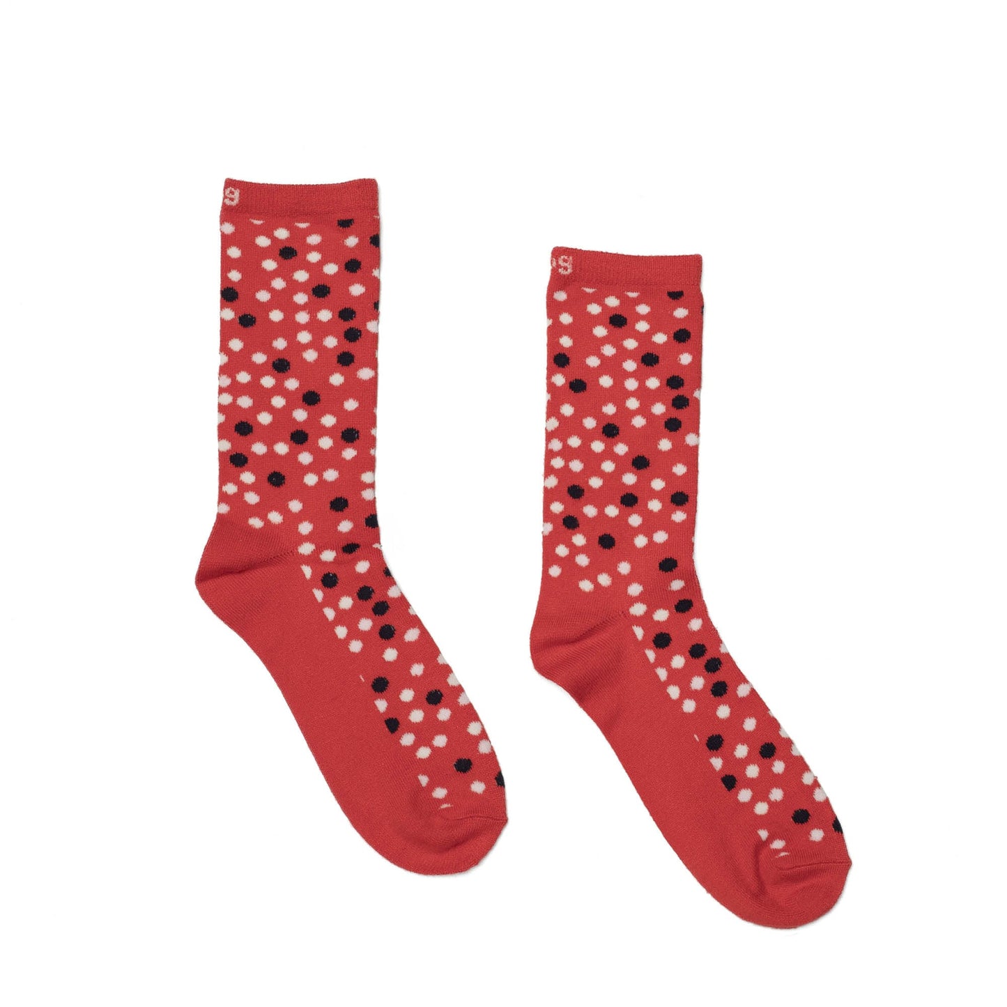 Trotter Socks 6pk *Final Sale*