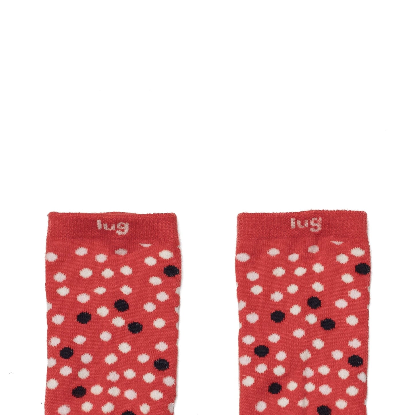 Trotter Socks 6pk *Final Sale*