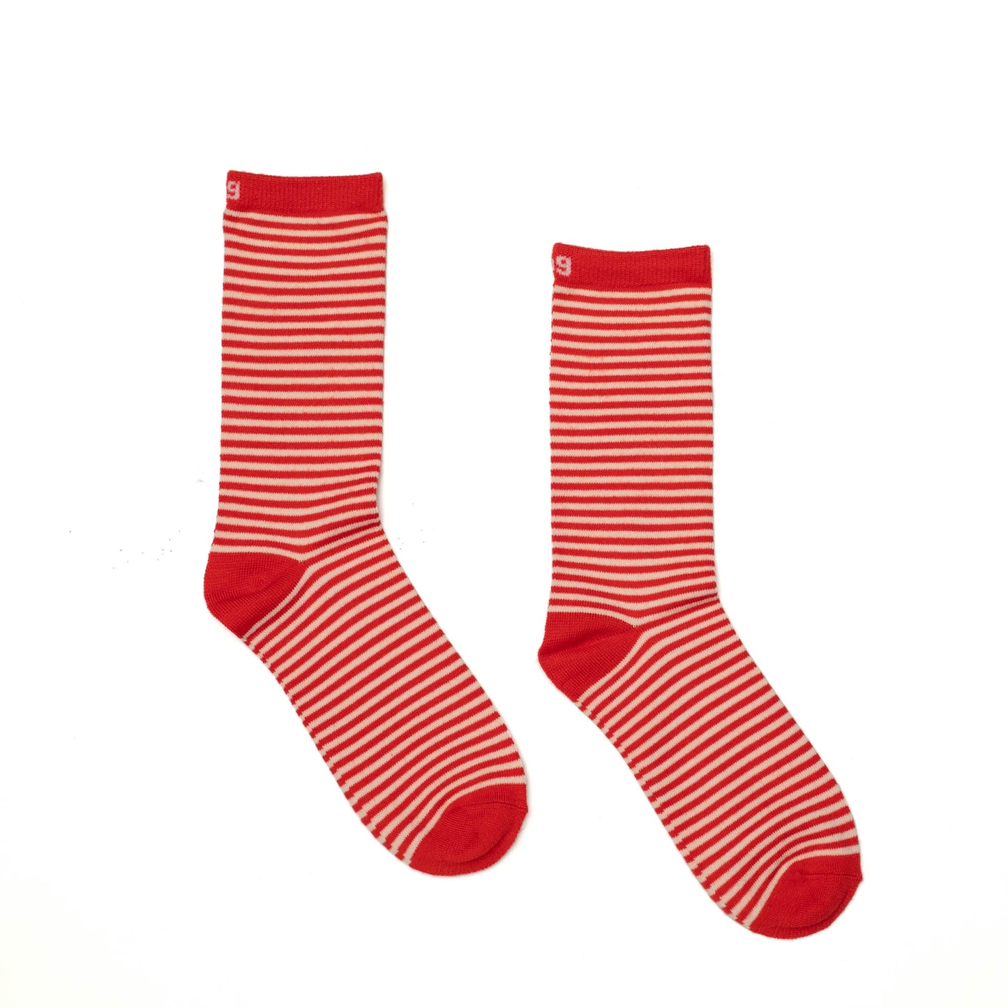 Trotter Socks 6pk *Final Sale*