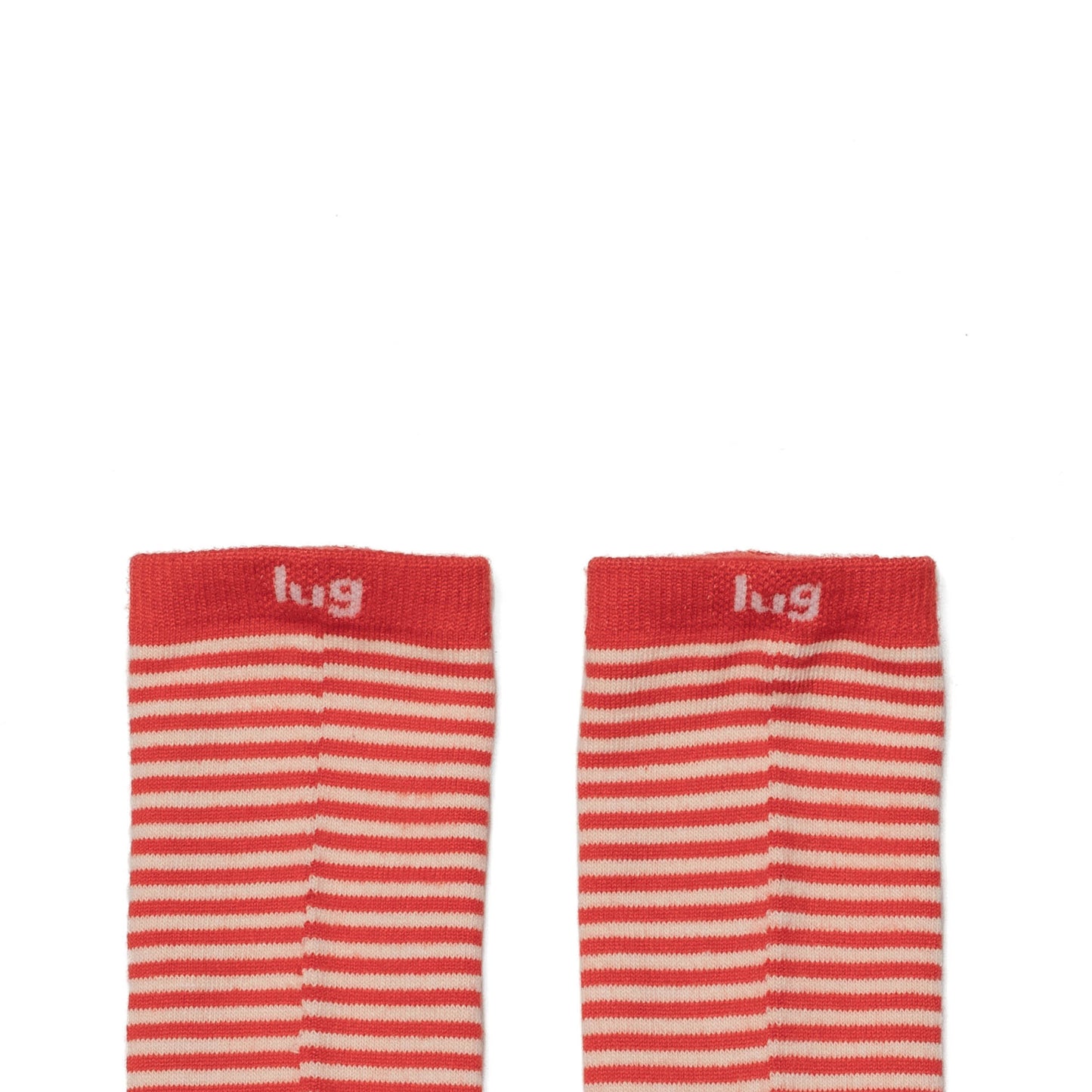 Trotter Socks 6pk *Final Sale*