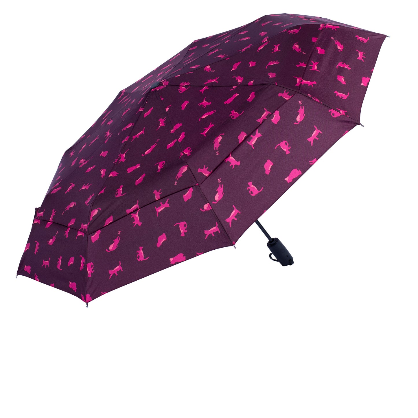 Sprinkle Umbrella